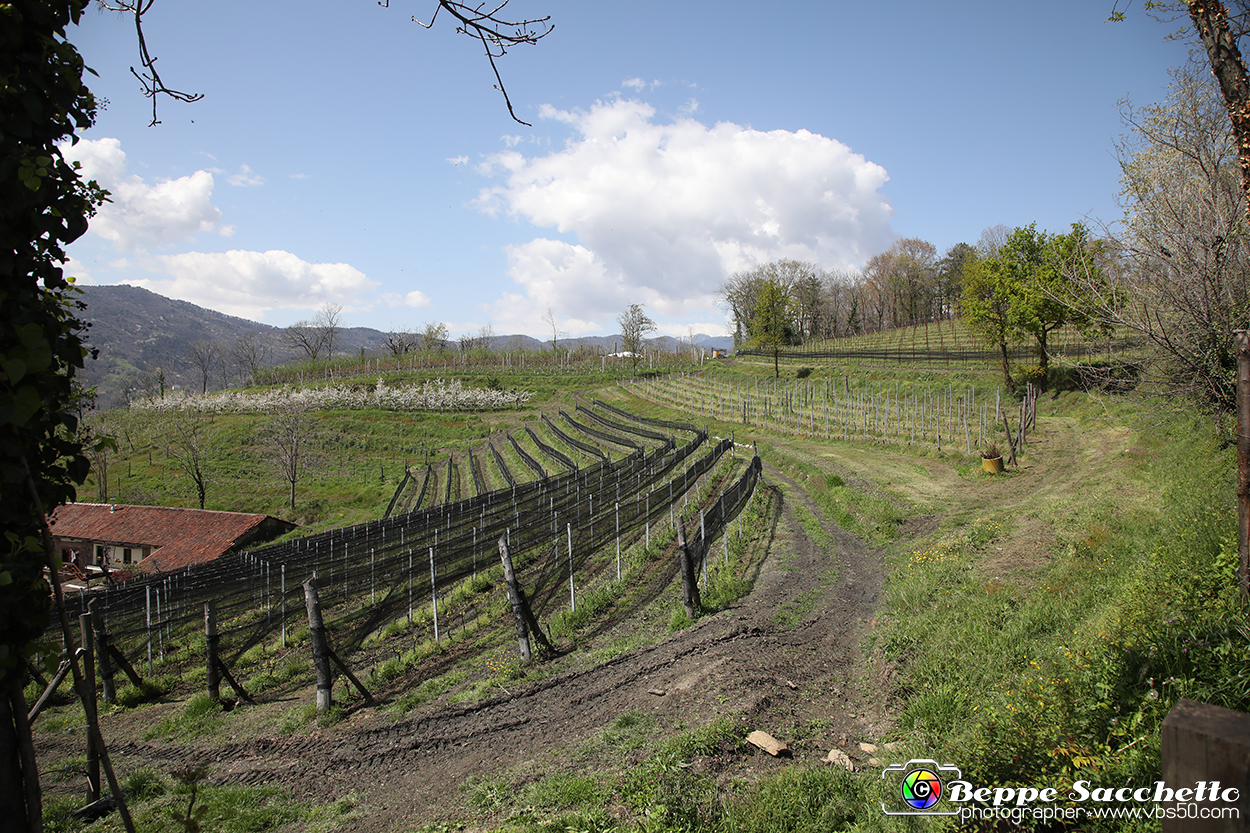 VBS_7417 - PressTour educational dedicato ai vini del Pinerolese e all’olio prodotto sulla collina di Pinerolo.jpg